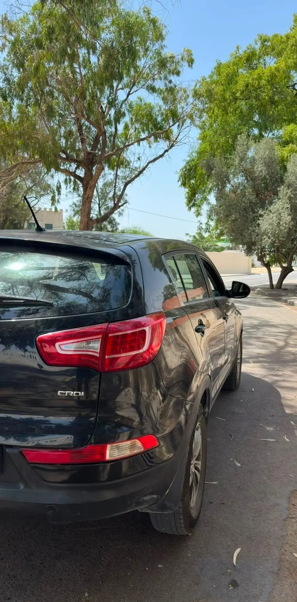 Kia Sportage, photo 1 sur 6