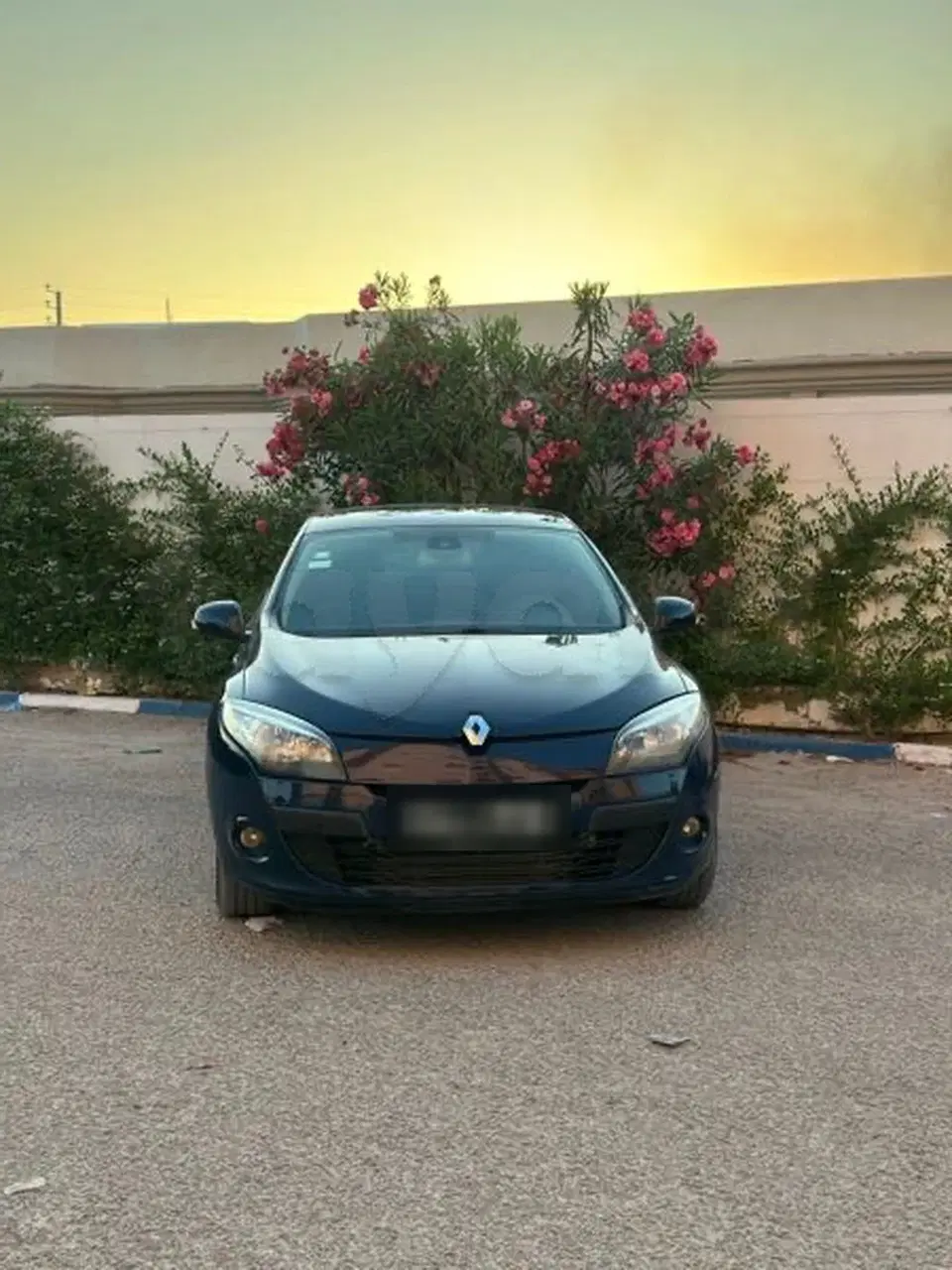 Renault Mégane, photo 1 sur 6